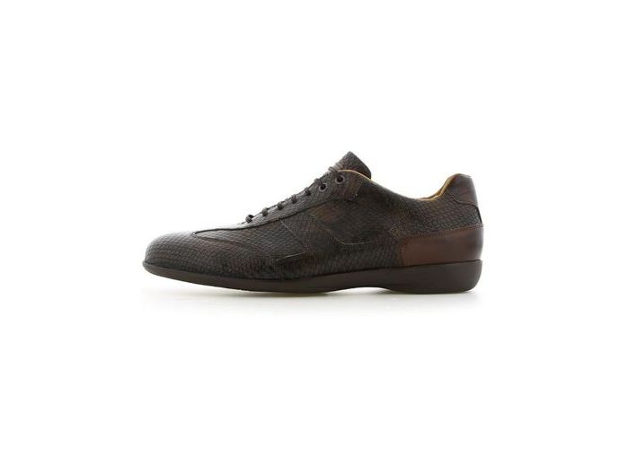 Van Bommel Lace-up shoes 16168/09 Grey Snake L 708 H Black