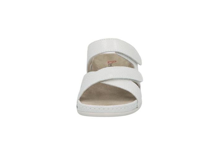 Berkemann 11366 Mules Gris