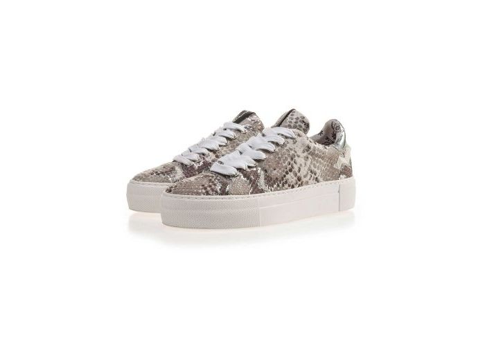 Floris Van Bommel 6320 Sneakers & baskets Taupe