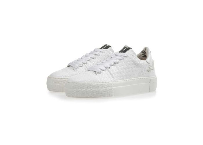 Floris Van Bommel 6321 Baskets Blanc