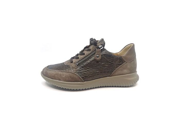 Hartjes 9262 Sneakers & baskets Taupe