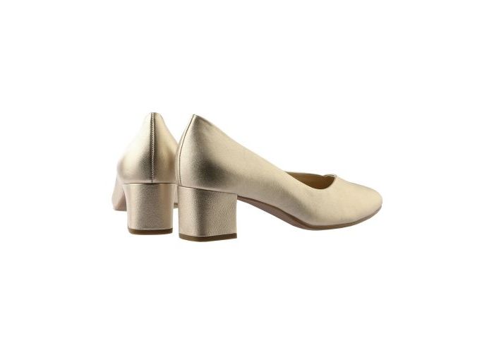 Hassia 11206 Pumps Goud