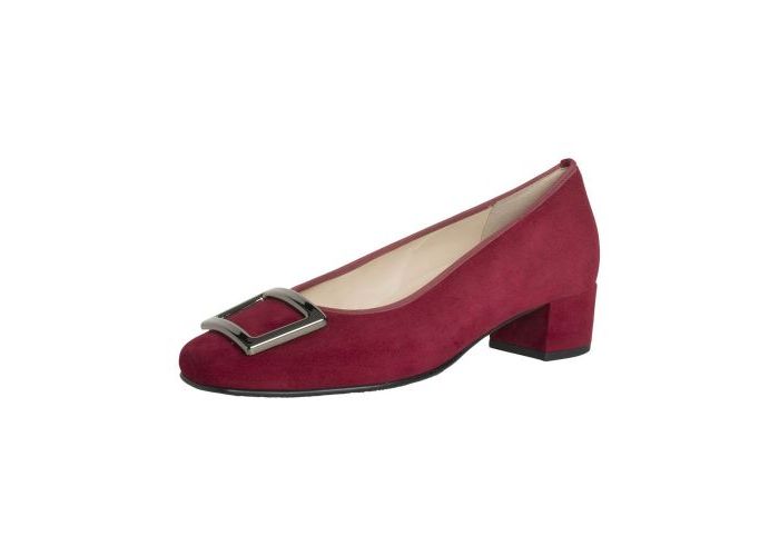 Hassia 11068 Pumps Rood