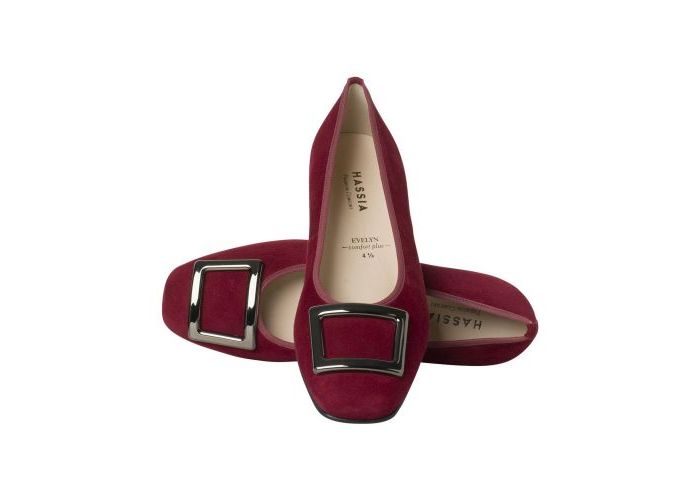 Hassia 11068 Pumps Rood