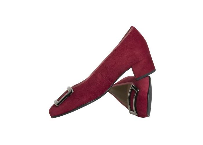 Hassia 11068 Pumps Rood