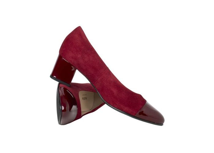 Hassia 11069 Pumps Rood