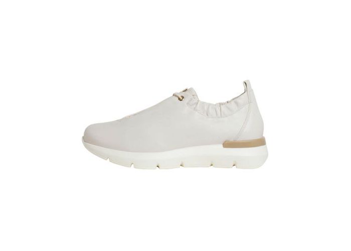 Hassia Sneakers Bordeaux H 301360-1200 Crème Beige