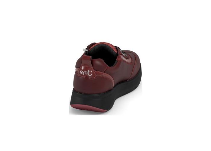 Joya 10541 Sneakers & baskets Bordeaux