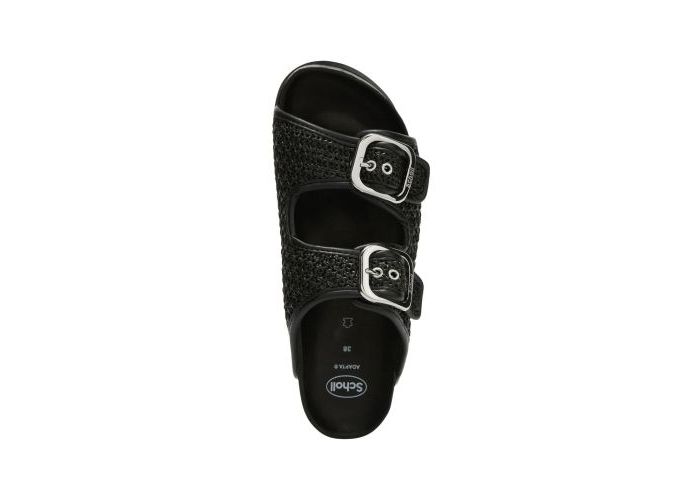 Scholl 11372 Mules Noir