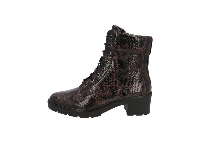 Solidus 11608 Boots & bottines Bruin