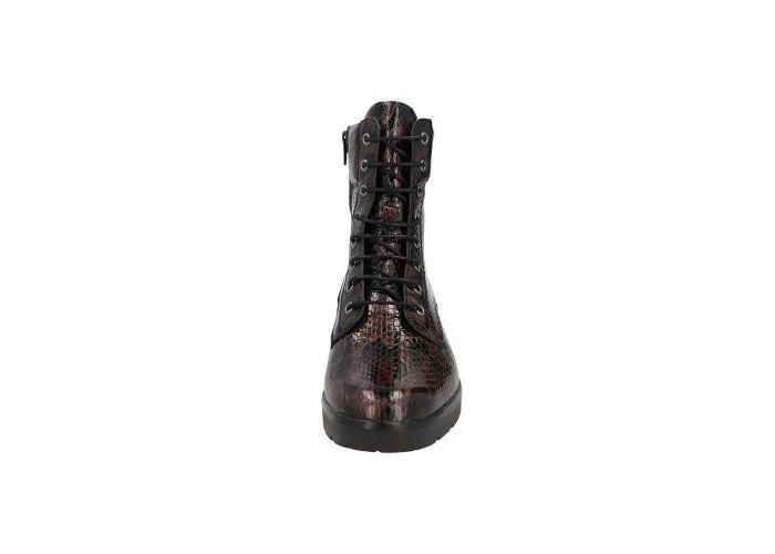 Solidus 11608 Boots & bottines Bruin