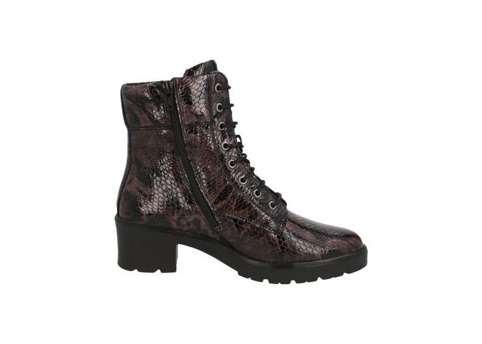 Solidus 11608 Boots & bottines Bruin