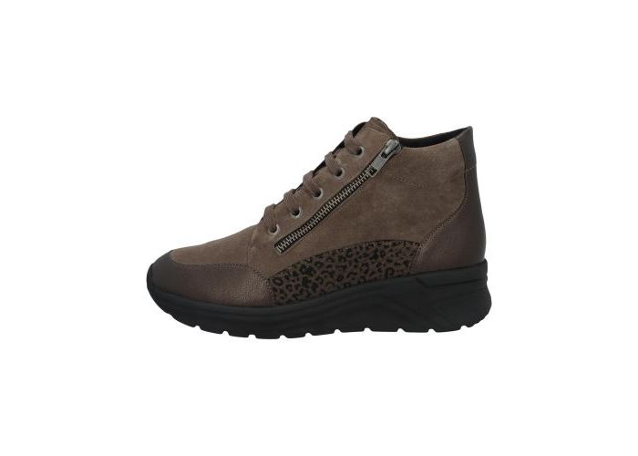 Solidus 10601 Boots & bottines Bruin