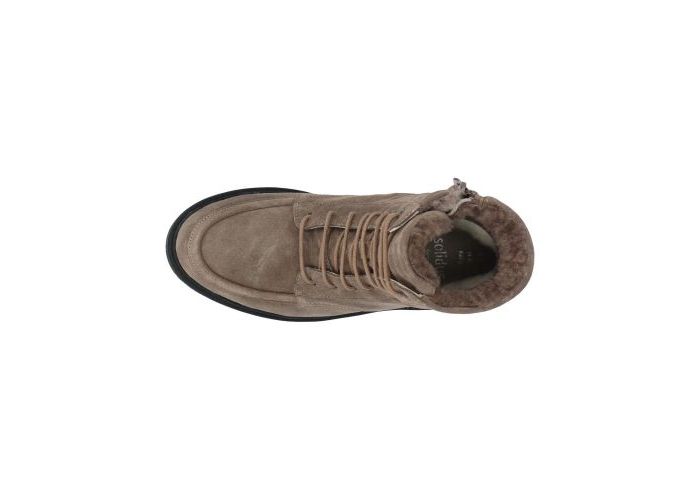 Solidus 11058 Boots & bottines Taupe