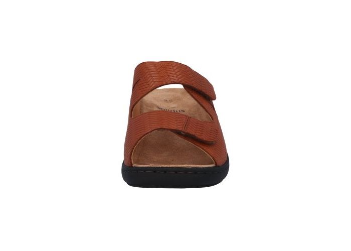 Solidus 8852 Mules Cognac