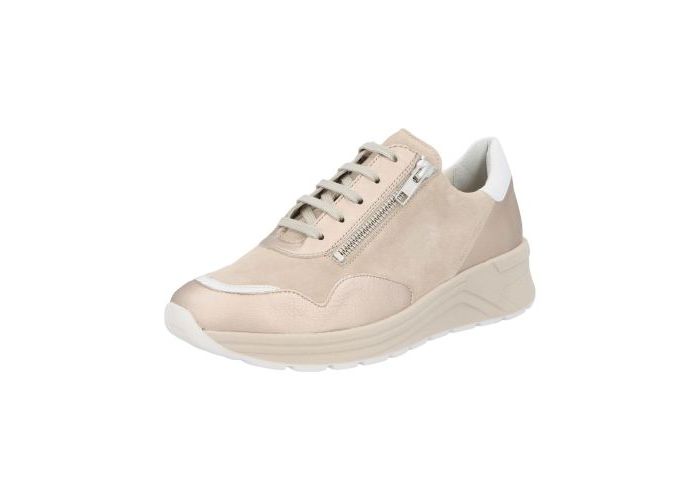 Solidus Sneakers & baskets Holly H 46020-40519 Champagne Multi Beige