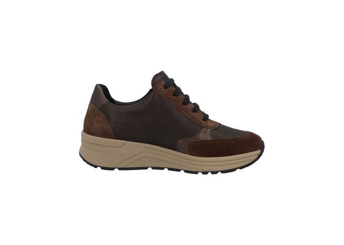 Solidus 10493 Trainers Brown