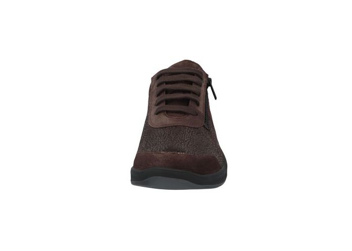 Solidus 10448 Trainers Brown