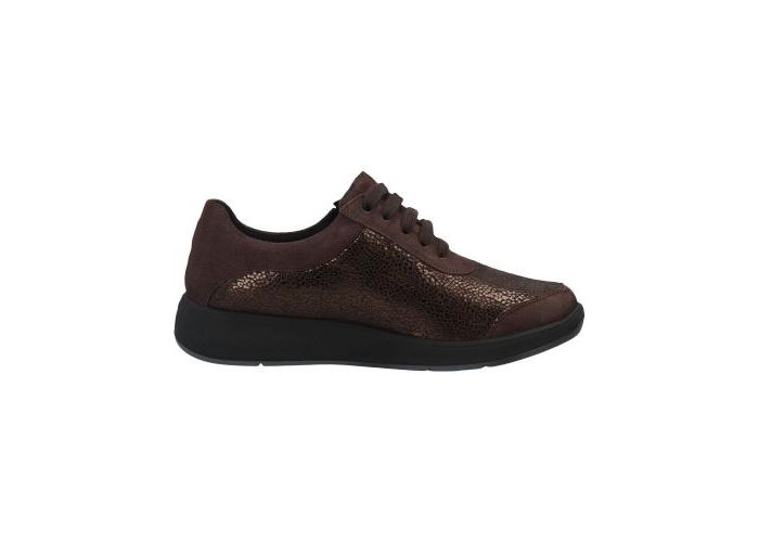 Solidus 10448 Trainers Brown