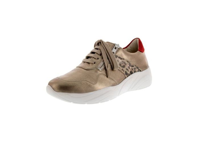 Solidus 8044 Sneakers & baskets Taupe