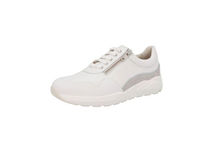 Solidus 10102 Trainers White