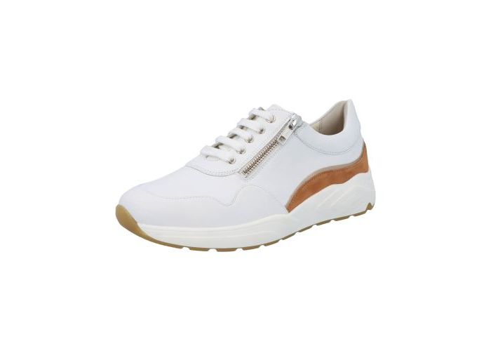 Solidus 8903 Trainers White