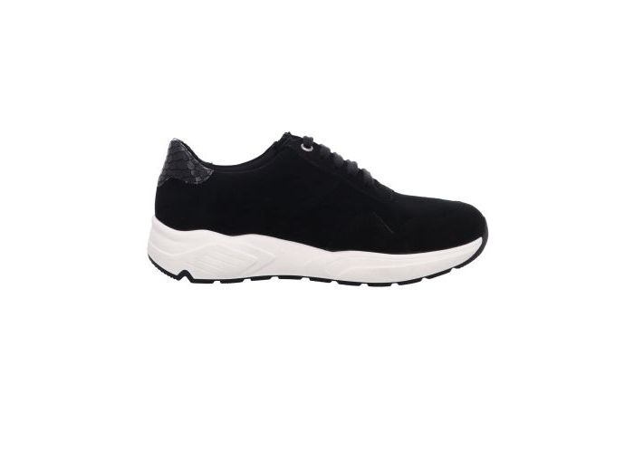 Solidus 8766 Trainers Black