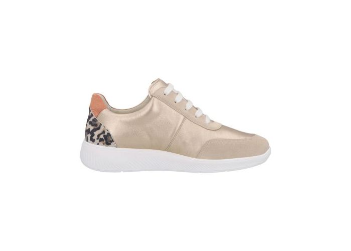 Solidus 10689 Trainers Beige