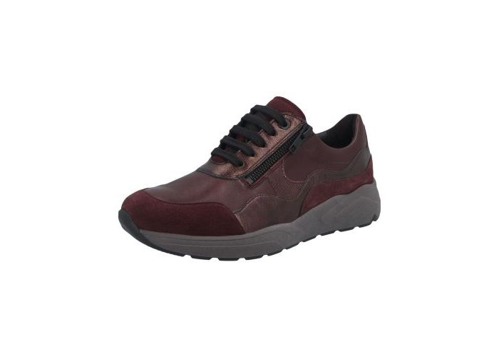 Solidus 10949 Sneakers Bordeaux