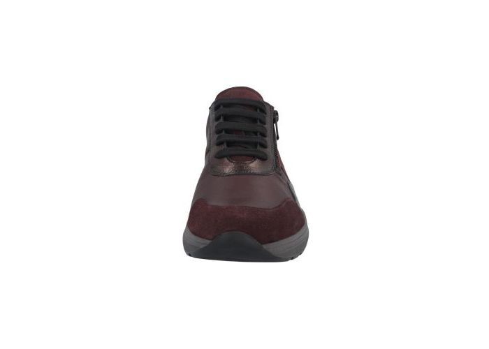 Solidus 10949 Sneakers Bordeaux