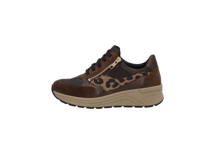 Solidus Sneakers Holly H 46023-30721 Caffee Multi Bruin