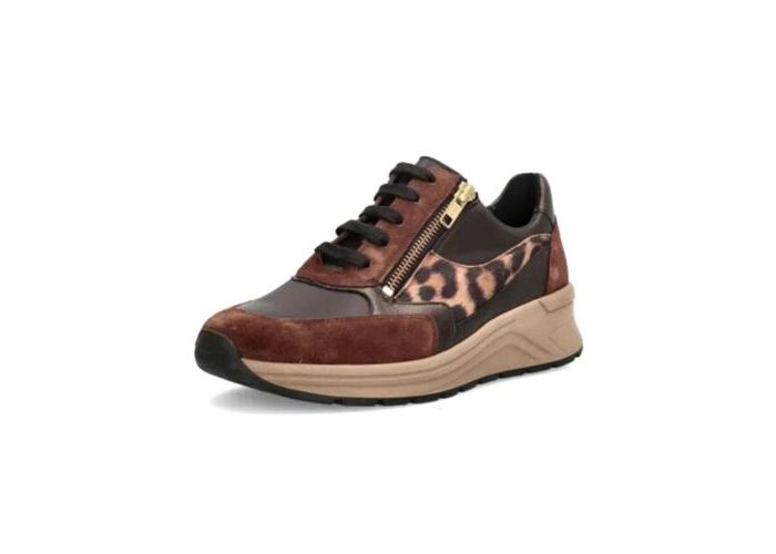 Solidus 10946 Sneakers Bruin