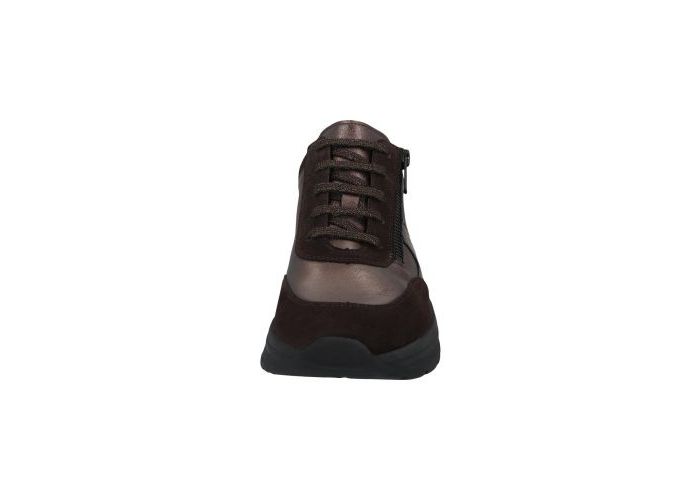 Solidus 10466 Sneakers Bruin