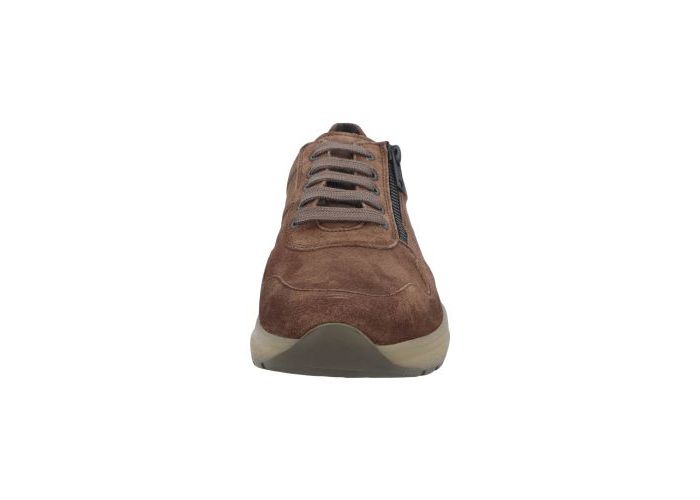 Solidus 9948 Sneakers Bruin
