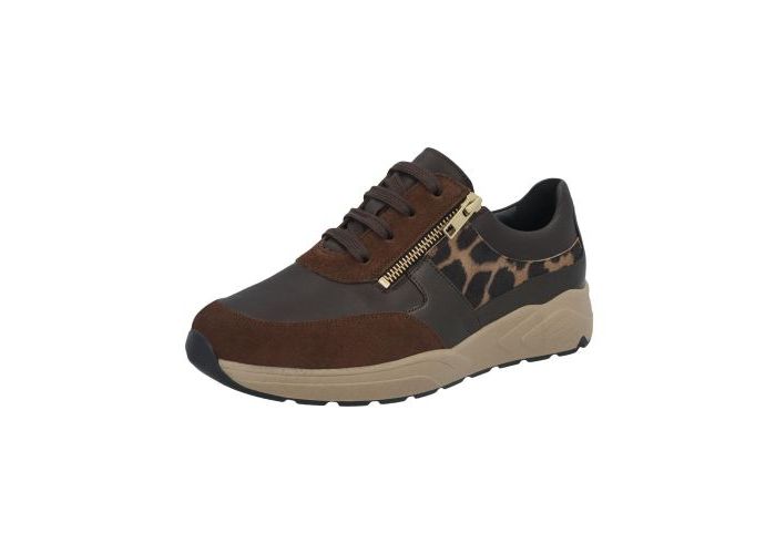 Solidus 10961 Sneakers Bruin
