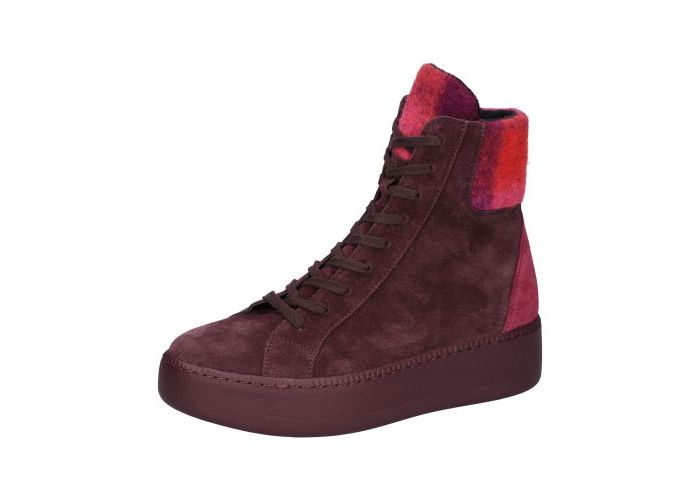 WaldlÄufer 11008 Boots & bottines Bordeaux