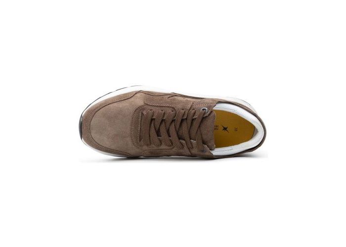 Xsensible 9172 Trainers Brown