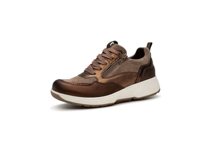 Xsensible 10368 Trainers Brown