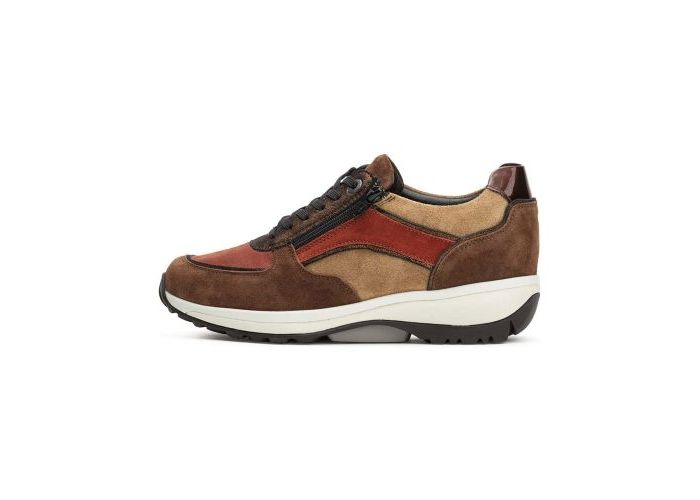 Xsensible Sneakers & baskets Lucca G 30112.2.321 Brown/Bronze Bruin