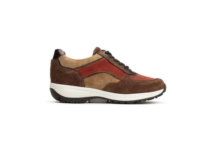 Xsensible 9206 Sneakers & baskets Bruin