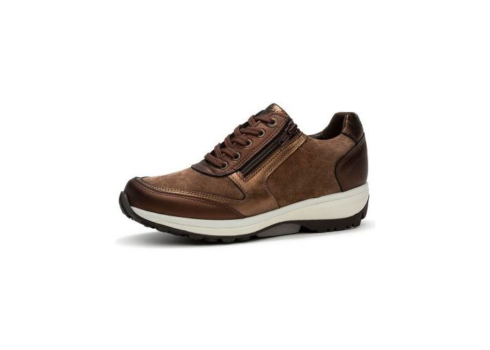 Xsensible 10373 Trainers Brown