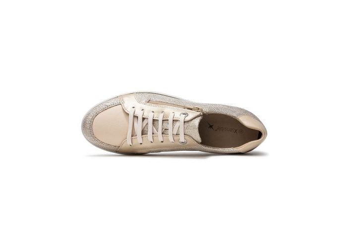 Xsensible 10035 Trainers Gold
