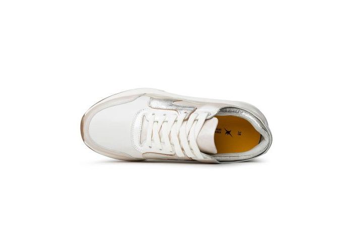 Xsensible 10627 Sneakers & baskets Metallic