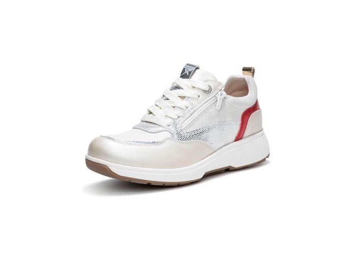 Xsensible 10021 Sneakers & baskets Metallic