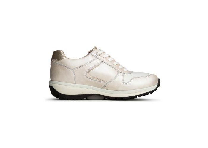 Xsensible 10621 Sneakers & baskets Metallic