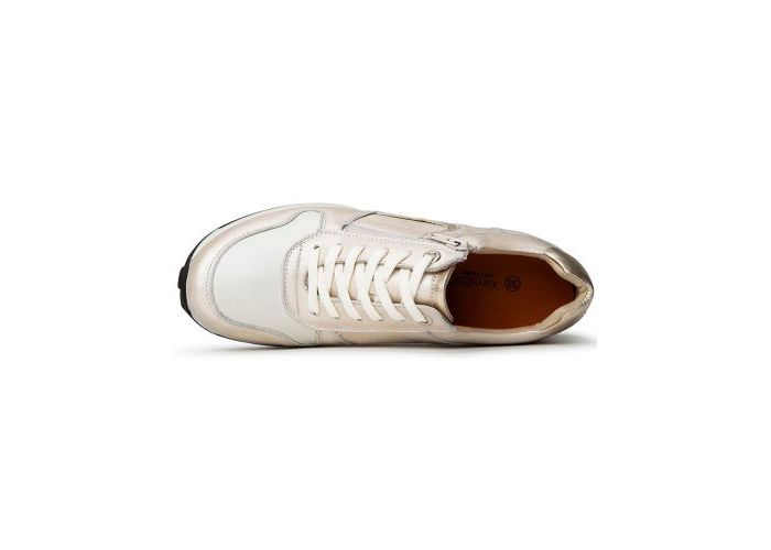 Xsensible 10621 Sneakers & baskets Metallic