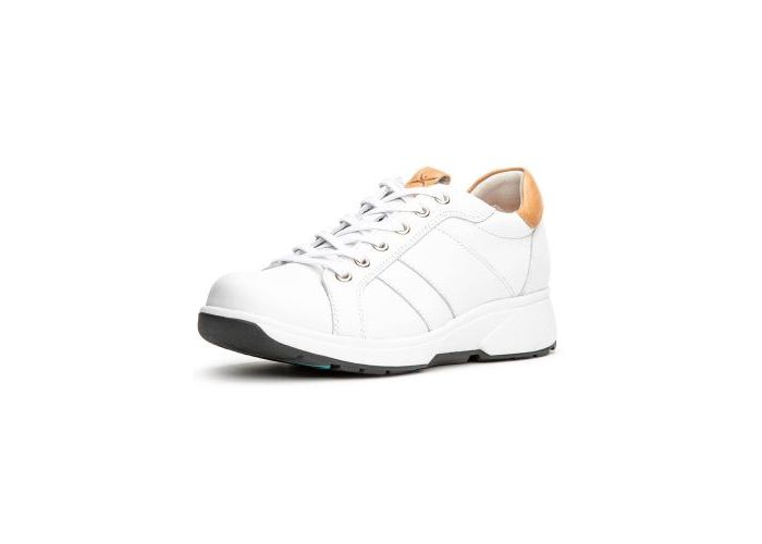 Xsensible 8867 Trainers White