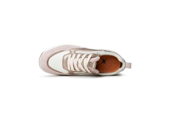 Xsensible 10623 Sneakers Beige