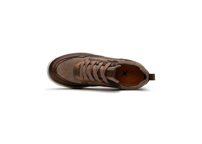 Xsensible 10368 Sneakers Bruin