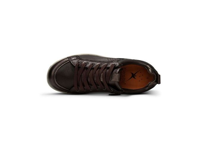 Xsensible 10967 Sneakers Bruin
